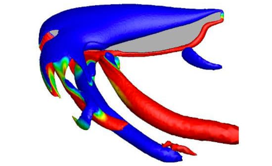 Observations of Flow Structure Changes with Aspect Ratio for Rotating Insect Wing Planforms