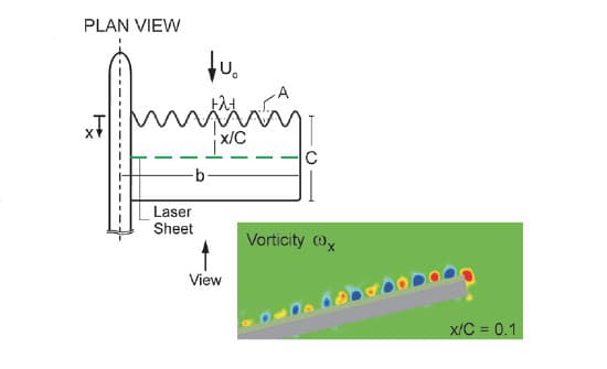 Control of vortical structures on a flapping wing via a sinusoidal leading-edge